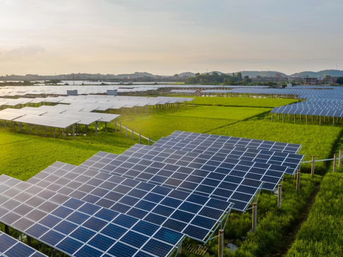 solar epc companies epc solar companies solar epc companies in india solar epc contractors