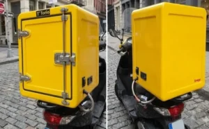 Integrated Electrical Food Delivery Box manufacturing by Manufyn