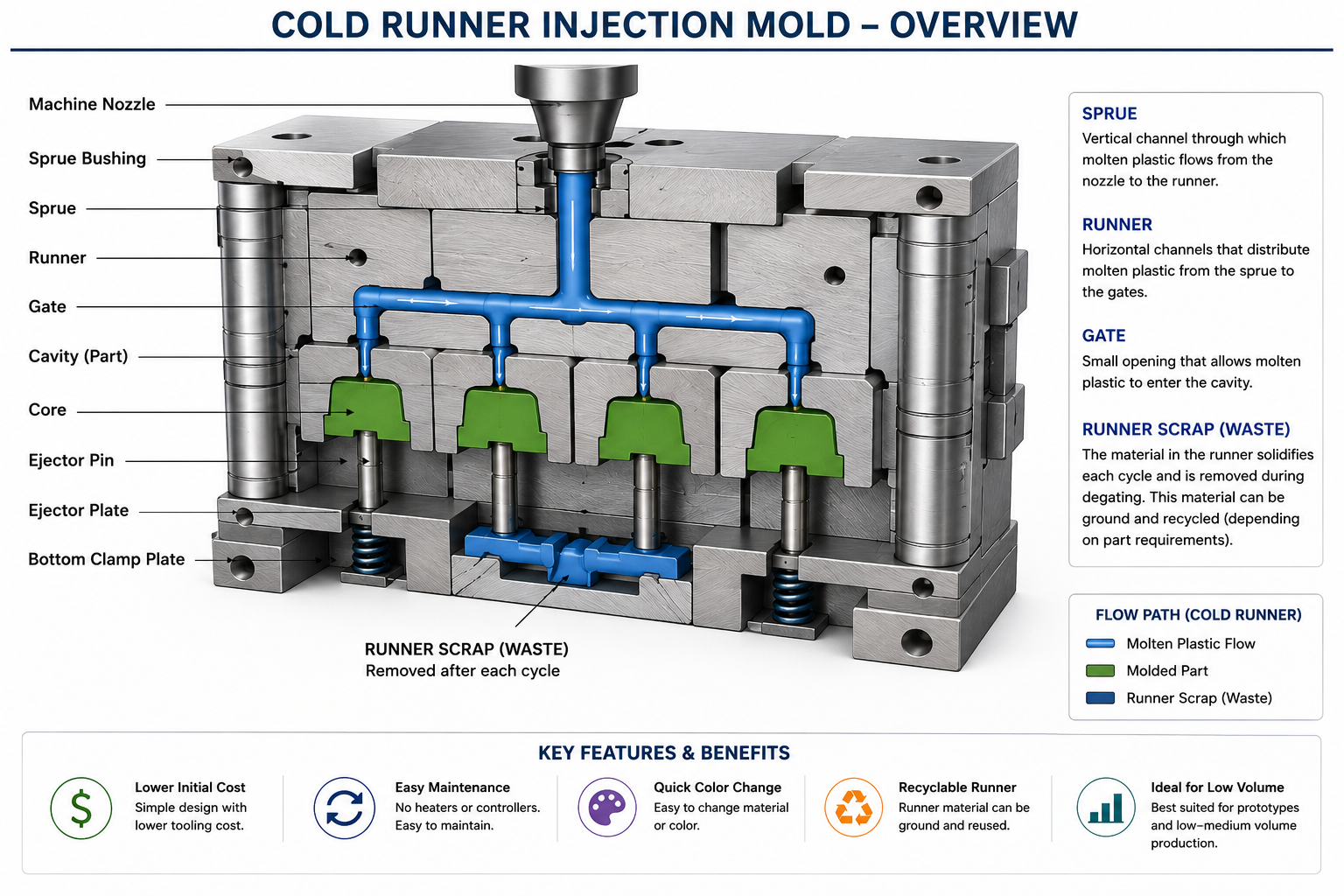 Cold Runner Injection Mold showing sprue runner gate and cavity